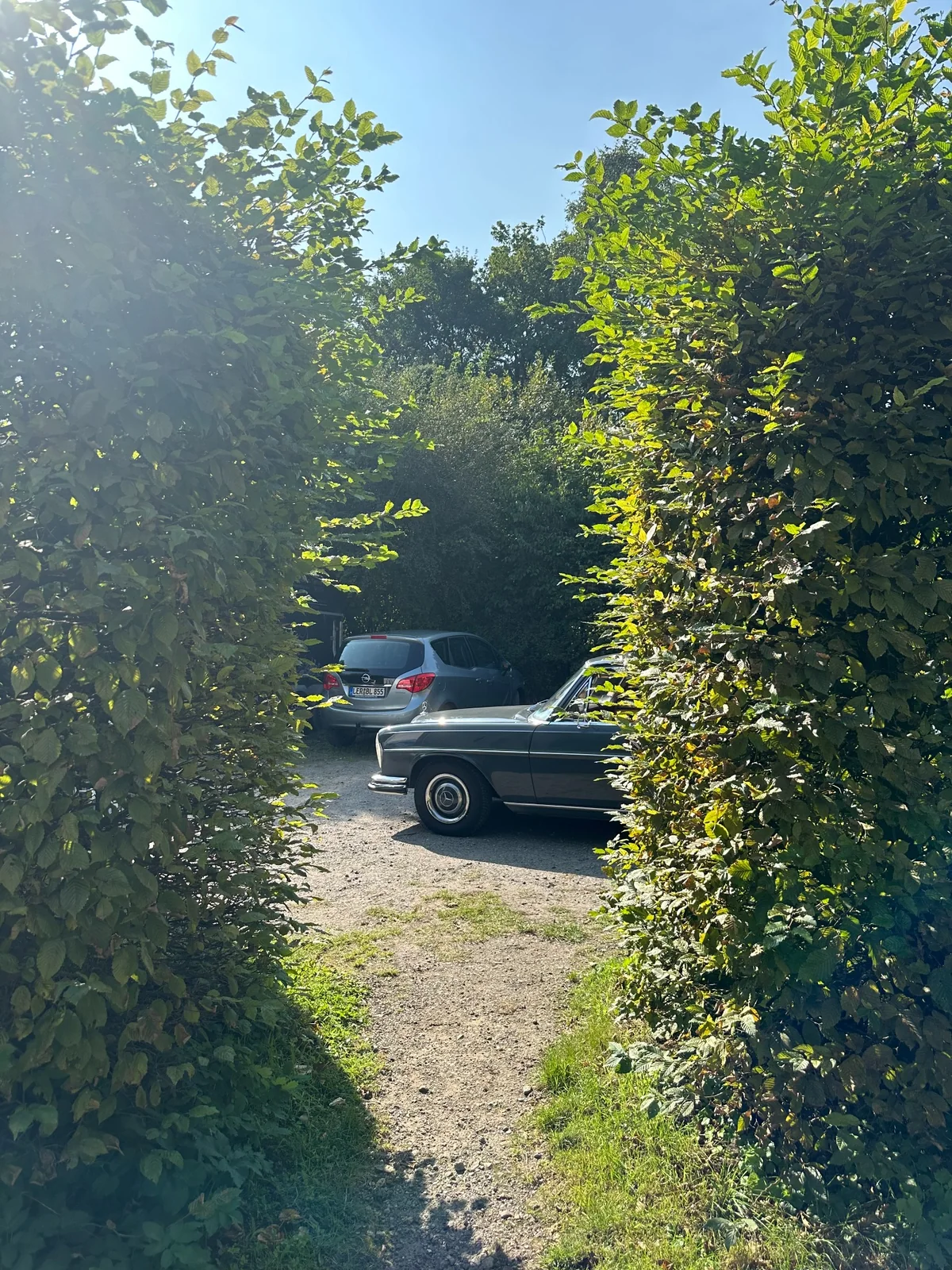 Mercedes-Benz W108 Oldtimer auf einer grünen Auffahrt